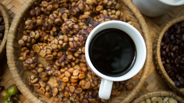 จุดเด่นของกาแฟขี้ชะมดคืออะไร?