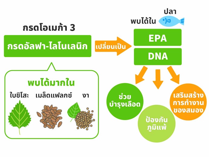 ประโยชน์ของน้ำมันงา
