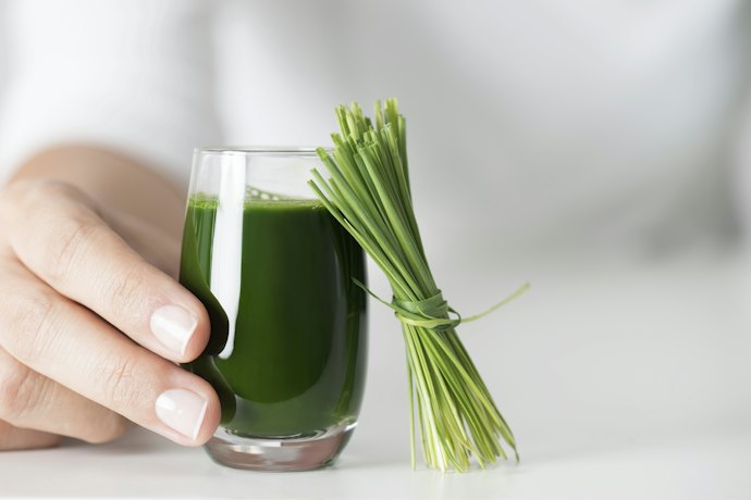 ผงต้นอ่อนข้าวสาลี (Wheatgrass) คืออะไร มีสรรพคุณอย่างไร