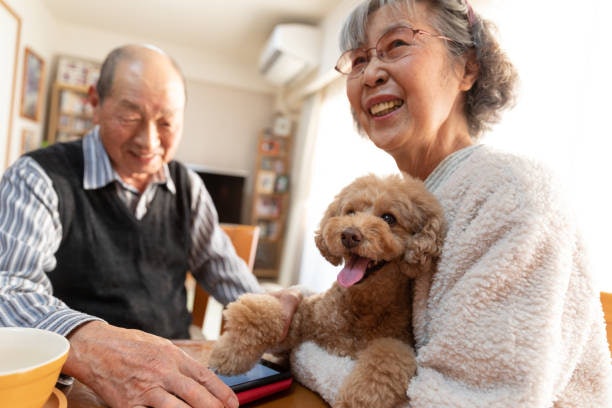 ผู้สูงอายุ 70 ปีขึ้นไป จำเป็นต้องทำประกันชีวิตหรือไม่
