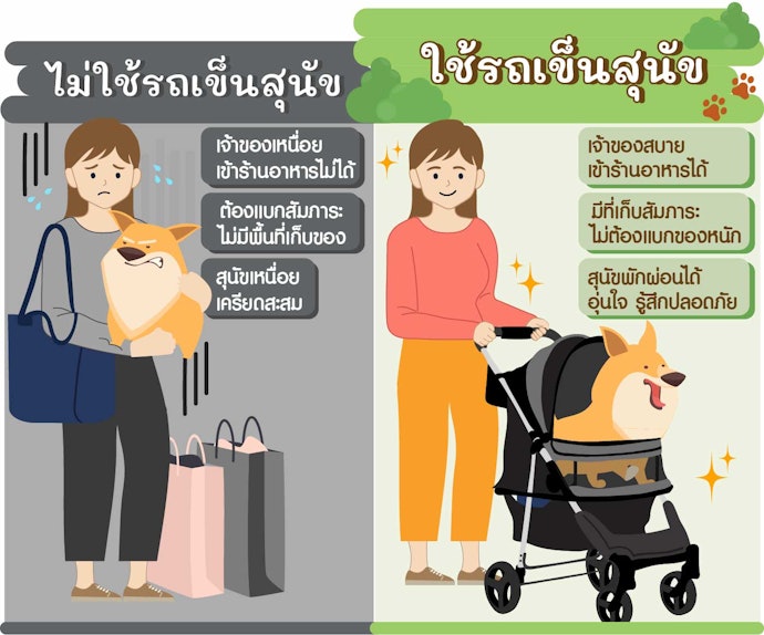 ประโยชน์ของการใช้รถเข็นสุนัข