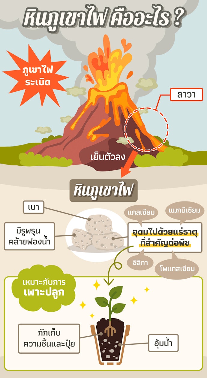 หินภูเขาไฟคืออะไร มีคุณสมบัติอย่างไร