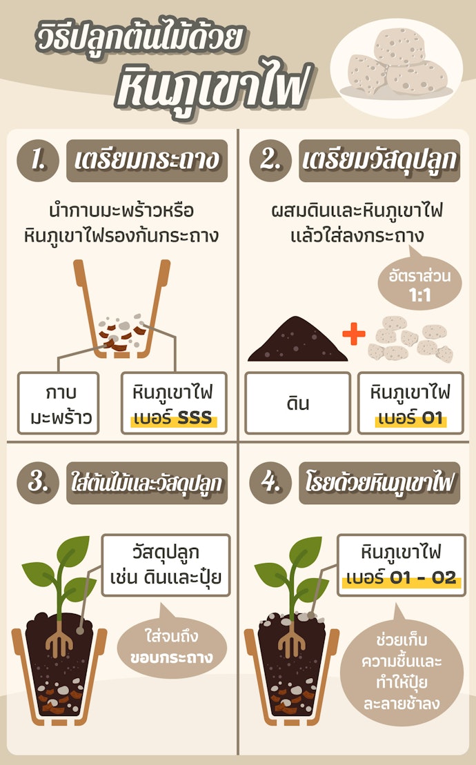 หินภูเขาไฟใช้อย่างไร