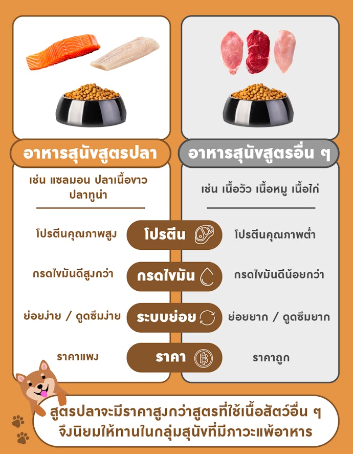 อาหารสุนัขสูตรปลามีจุดเด่นอย่างไร ต่างจากสูตรเนื้อสัตว์อื่น ๆ อย่างไร