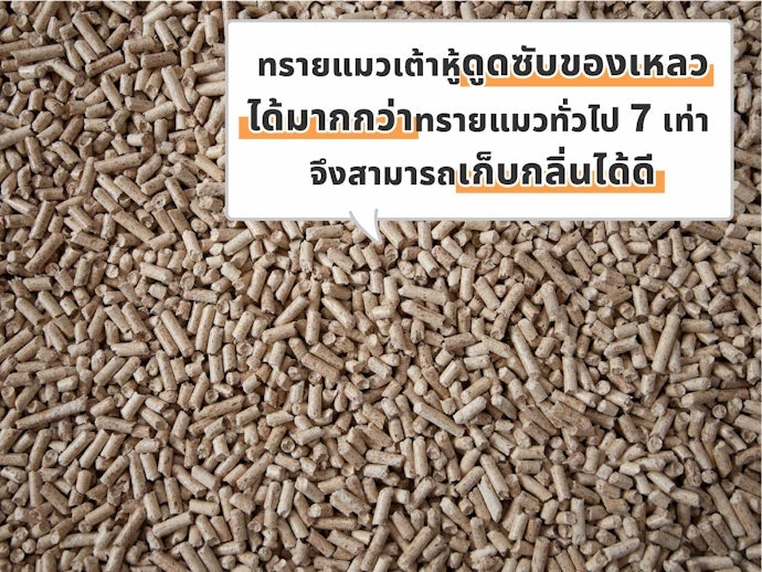 ทรายแมวเต้าหู้ ดียังไง