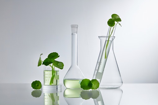 Centella