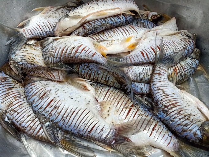 ส้มเนื้อ ส้มหมูและปลาส้ม