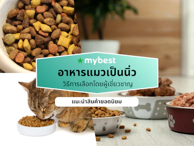 10 อาหารแมวเป็นนิ่ว ยี่ห้อไหนดี ปี 2026 สูตรป้องกันและรักษา