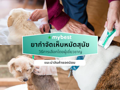 10 ยากำจัดเห็บหมัดสุนัข ยี่ห้อไหนดี ปี 2026 แบบกิน แบบหยอด