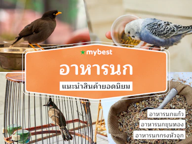 50 อาหารนก ยี่ห้อไหนดี ปี 2025 ตามสายพันธุ์