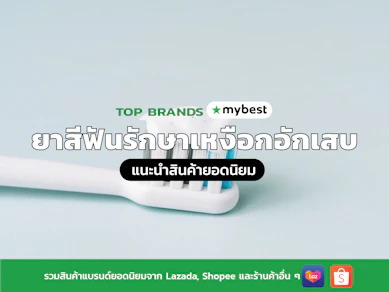 10 ยาสีฟันรักษาเหงือกอักเสบ ปี 2026 ลดเหงือกบวม คราบพลัค