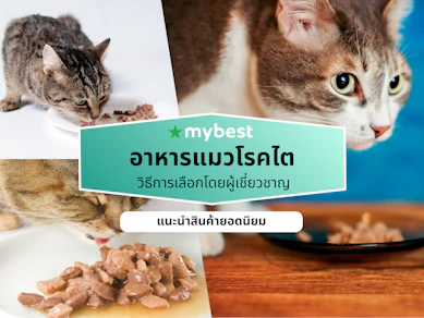 10 อาหารแมวโรคไต ยี่ห้อไหนดี ปี 2026 แบบเม็ด แบบเปียก