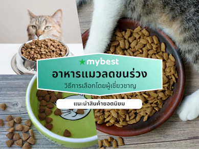 10 อาหารแมวลดขนร่วง ยี่ห้อไหนดี ปี 2026 มีทั้งแบบเม็ดและแบบเปียก