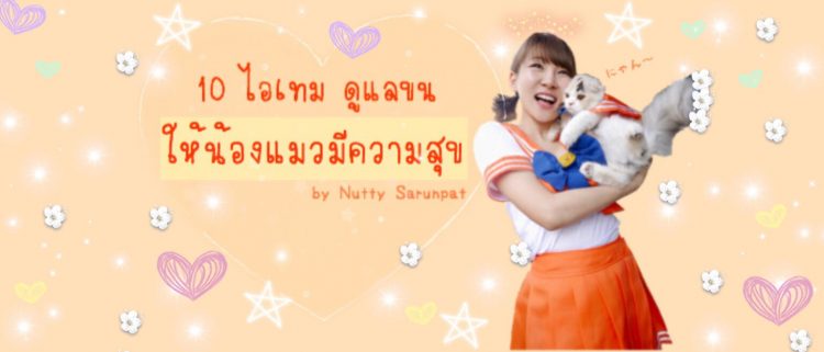 10 ไอเทม ดูแลขนให้น้องแมวมีความสุข