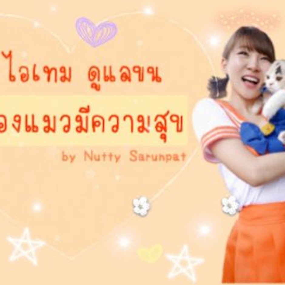 10 ไอเทม ดูแลขนให้น้องแมวมีความสุข