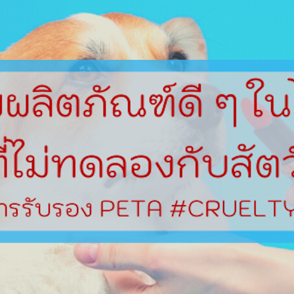 รวม 8 ผลิตภัณฑ์ดี ๆ ในไทยที่ ไม่ทดลองกับสัตว์ ผ่านการรับรอง PETA #CrueltyFree