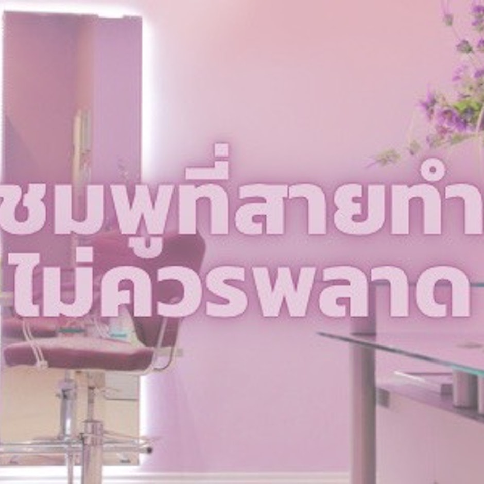 เอาใจสายทำสีผมกับ 10 แชมพูสำหรับผมทำสี ใช้แล้วสีติดทน หลุดยาก