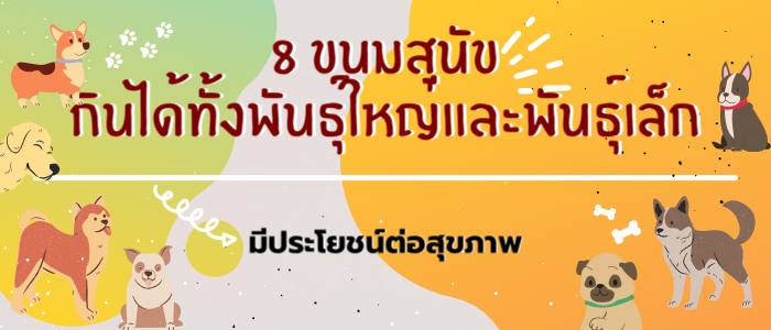 8 ขนมสุนัขยอดฮิต กินได้ทั้งพันธุ์ใหญ่และพันธุ์เล็ก อร่อยถูกใจน้องหมา
