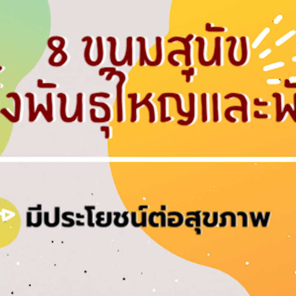 8 ขนมสุนัขยอดฮิต กินได้ทั้งพันธุ์ใหญ่และพันธุ์เล็ก อร่อยถูกใจน้องหมา