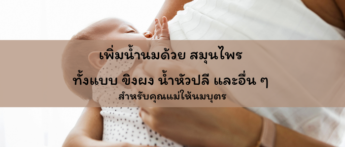 เพิ่มน้ำนมด้วย 8 สมุนไพรทั้งแบบ ขิงผง น้ำหัวปลี และอื่น ๆ สำหรับคุณแม่ให้นมบุตร