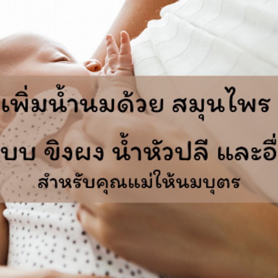 เพิ่มน้ำนมด้วย 8 สมุนไพรทั้งแบบ ขิงผง น้ำหัวปลี และอื่น ๆ สำหรับคุณแม่ให้นมบุตร