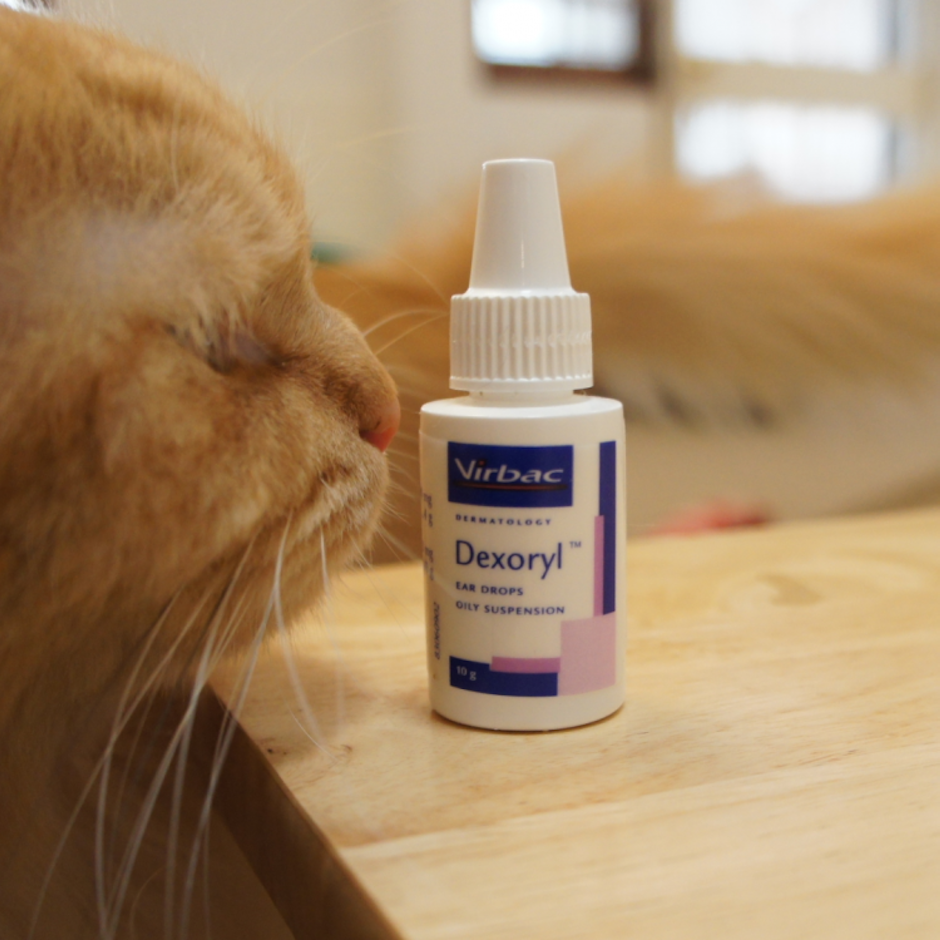 Virbac Dexoryl Ear Drops ยาหยอดหู สำหรับสุนัขและแมว Translation missing: th.activerecord.decorators.item_part_image/alt