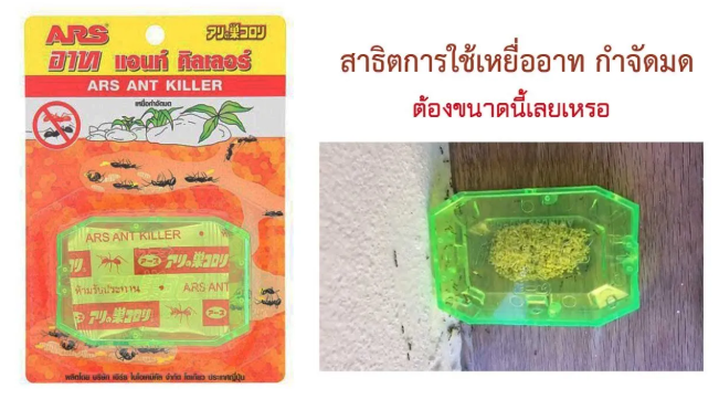 เหยื่อกำจัดมด  2