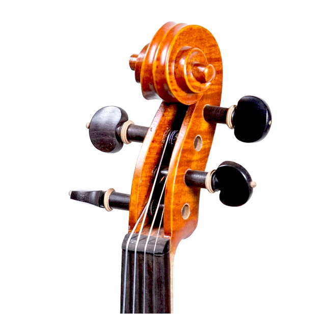 ไวโอลิน Violin 3
