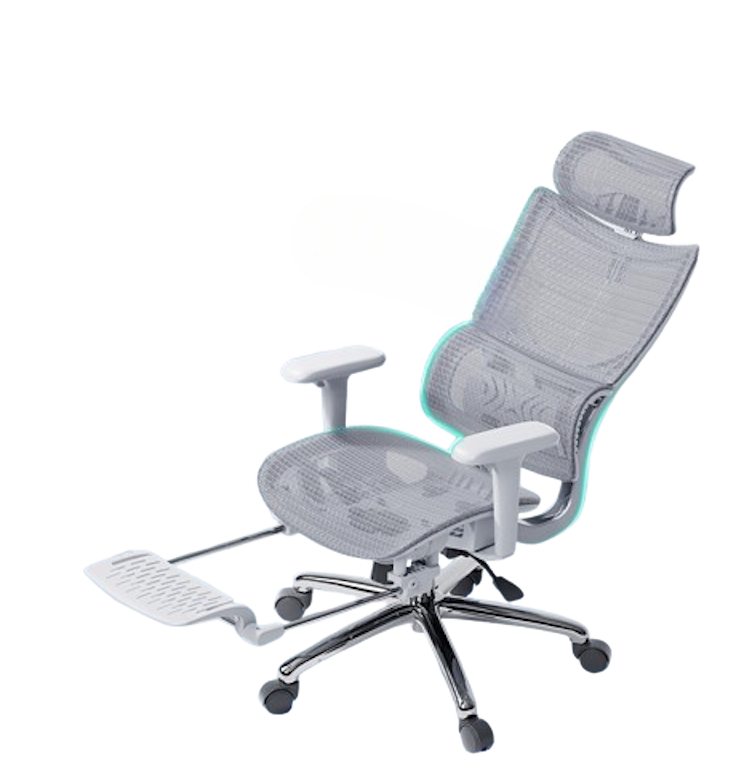 Ergonomic Chair 1