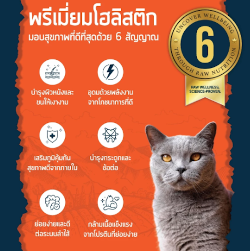 อาหารแมว Essential Holistic Grain Free 2