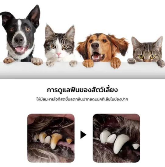 น้ำยาบ้วนปากสำหรับสัตว์เลี้ยง 3