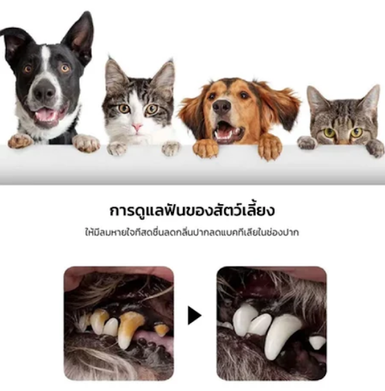 น้ำยาบ้วนปากสำหรับสัตว์เลี้ยง 3