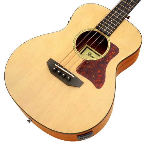 Acoustic Bass (GS Mini B2)  3