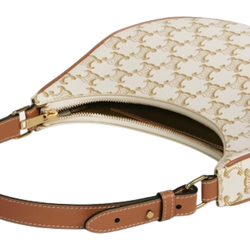 กระเป๋า CELINE รุ่น Ava Bag in Triomphe Canvas And Calfskin 3