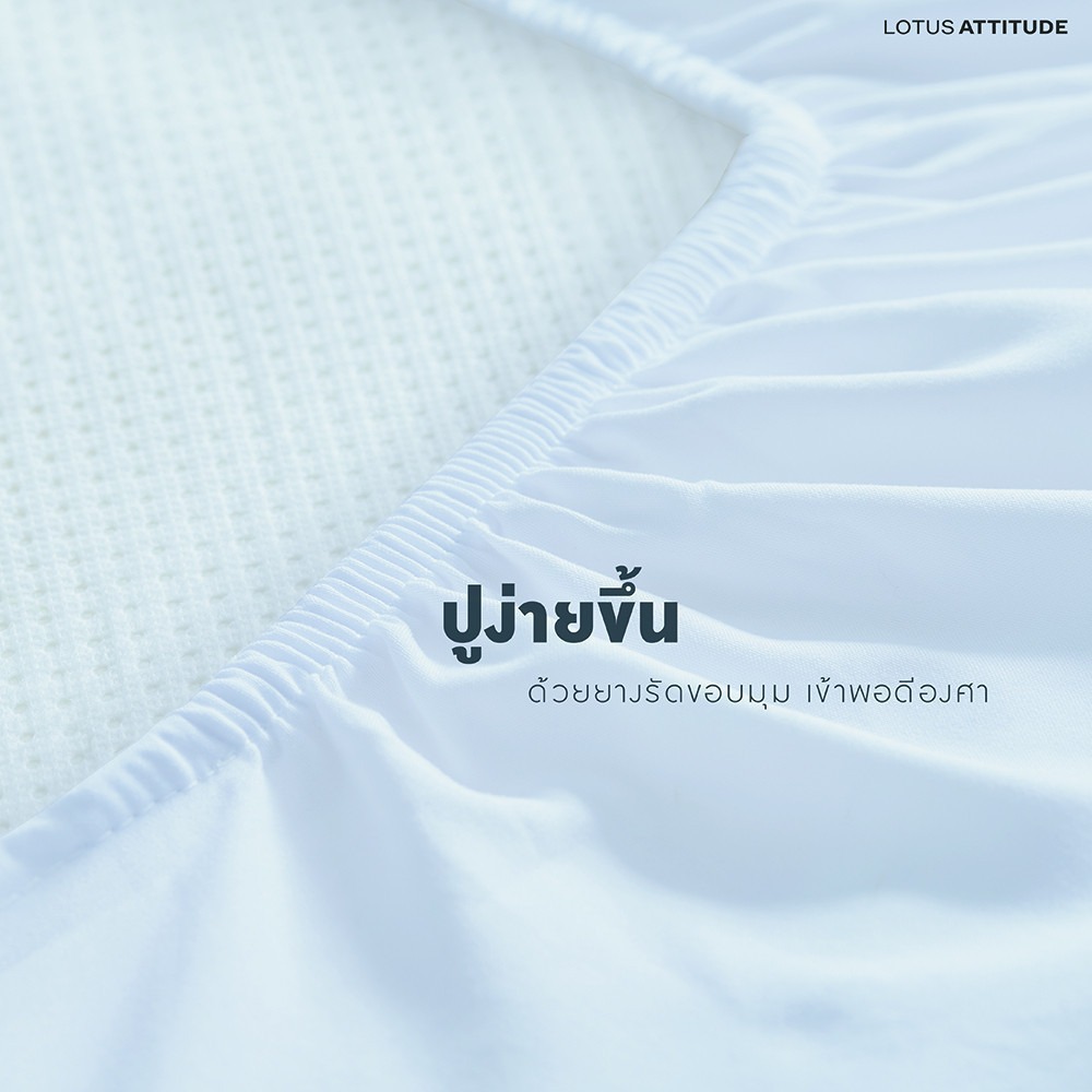 ผ้าปูที่นอน Attitude Basic 3