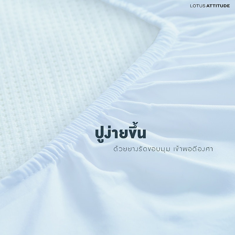 ผ้าปูที่นอน Attitude Basic 3