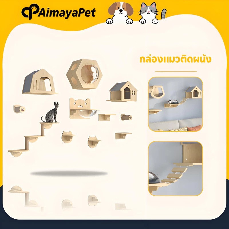 คอนโดแมวติดผนัง 3