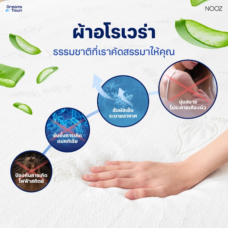 ท็อปเปอร์เมมโมรี่โฟม รุ่น Ergo Coolmax The 7 Zone 3