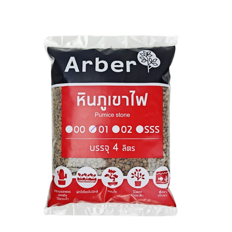 หินภูเขาไฟ Pumice (พัมมิส) 1
