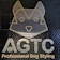 AGTC Groomer Training Center สถานที่เรียนตัดขนสุนัข 1