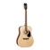 Cort AD810 1