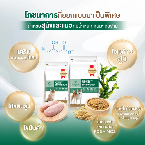 อาหารแมว Cat Weight Management 2