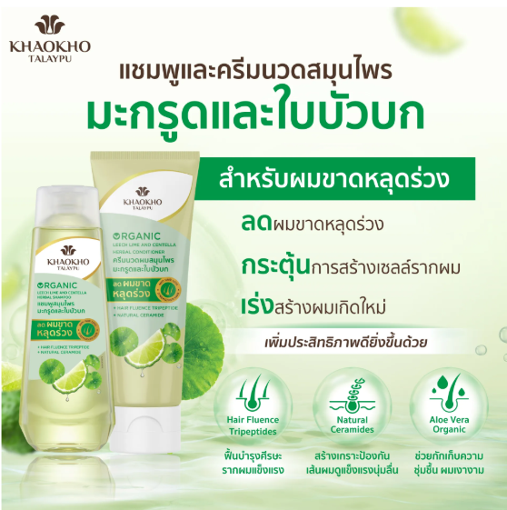 แชมพูสูตรมะกรูดและใบบัวบก 2