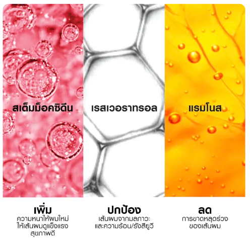 Dercos Densi-Solutions Hair Mass Recreating Concentrate 2