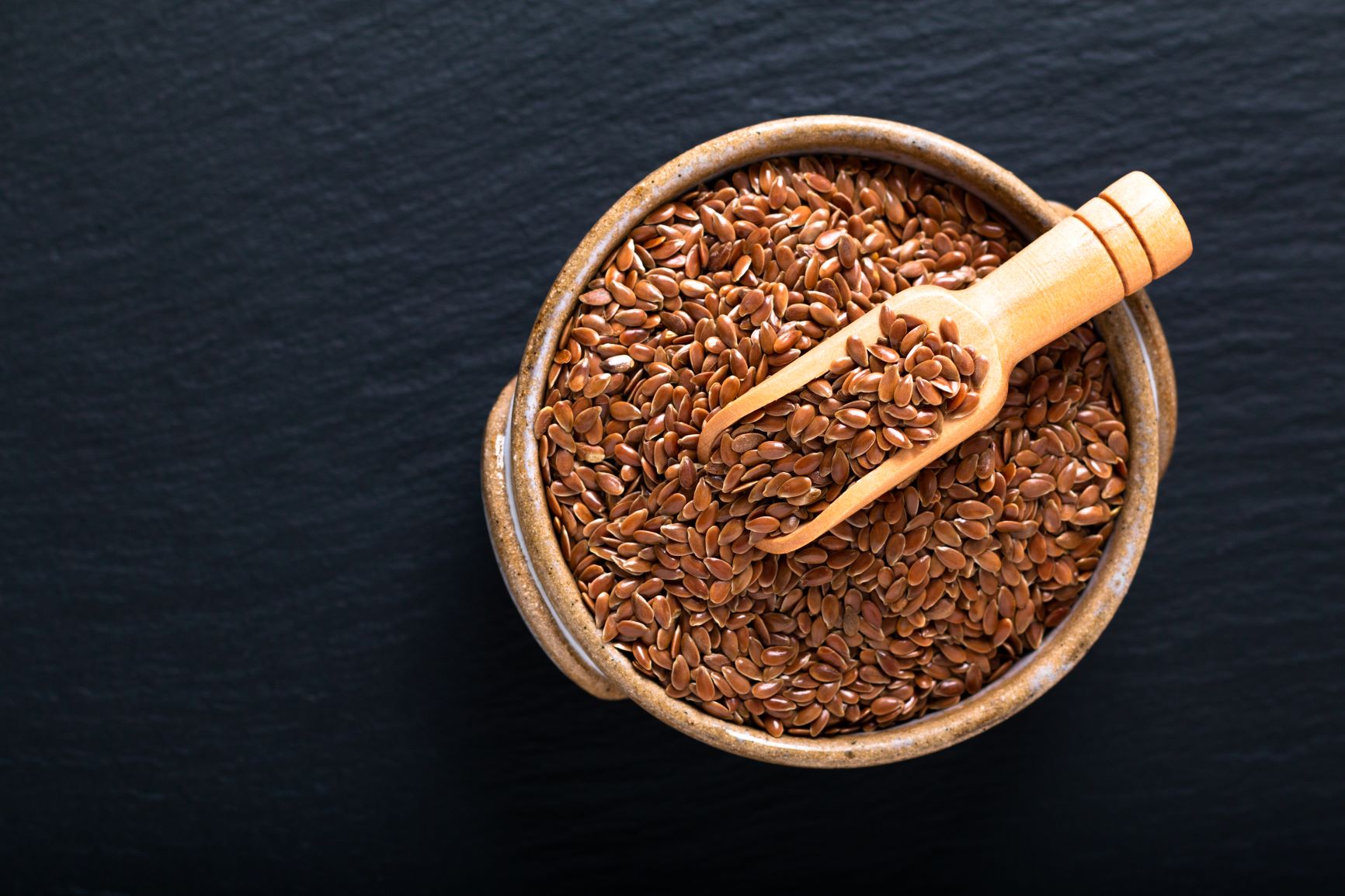 เมล็ดแฟลกซ์ Brown Flaxseed 2