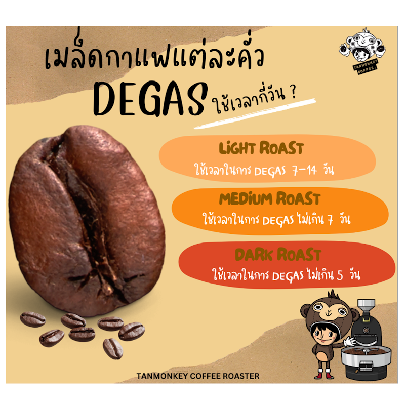 เมล็ดกาแฟคั่ว Yirgacheffe Aricha Geisha G1 Natural 2