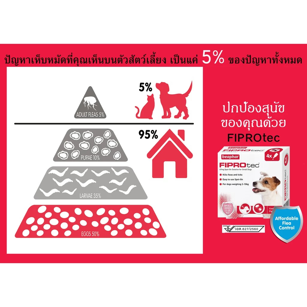 Fiprotec Small Dog ยาหยดกำจัดเห็บหมัด สุนัขพันธุ์เล็ก 3