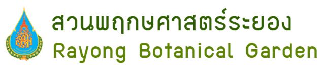 พายเรือคายัค ที่ไหนดี ปี 2026 รวมที่บรรยากาศดี ใกล้กรุงเทพ 4