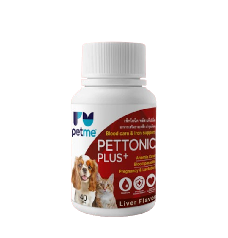 Pettonic Plus อาหารเสริมธาตุเหล็ก บำรุงเลือด 1