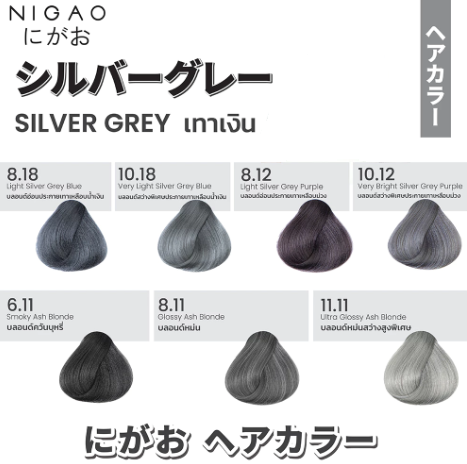 Hair Color Silver Grey 3